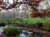 DSC01729a