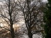 DSC01736a