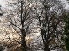 DSC01737a