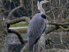 DSC01747a