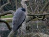DSC01749a