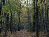 DSC01750a