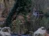 DSC01754a