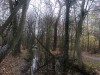 201203_4311_DXO2a