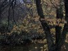 201203_4312_DXO1a