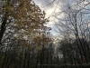201206_4317b