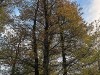 201206_4321b