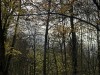 201206_4322b