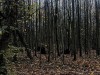 201206_4323b