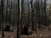 201206_4324b