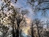 201206_4328b