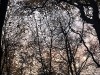 201206_4331b