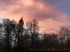 201206_4334b