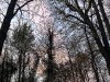 201206_4335b