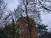 201207_4342_DXO1a