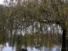 201207_4346_DXO1a