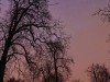 201207_4356_DXO2a