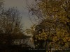 201207_4361_DXO2a