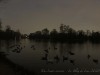 201207_4365_DXO3a