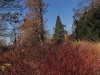 201208_4367a