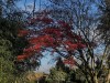 201208_4368a