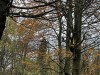 201210_4375a
