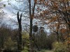 201210_4378a
