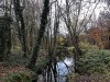 201210_4381a