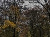 201211_4383a