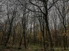 201211_4384a