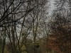 201211_4386a
