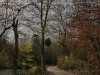 201211_4388a