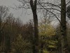 201211_4389a