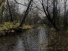 201211_4391a