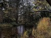 201211_4393a