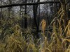 201211_4394a