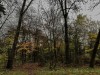 201211_4395a