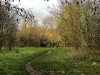 201216_4399a