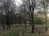 201216_4400a