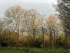 201216_4401a