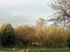 201216_4402a
