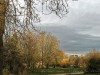 201216_4403a