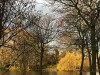 201216_4406a