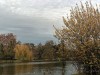 201216_4407a