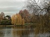 201216_4408a