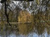 201216_4412a