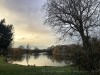 201216_4413a