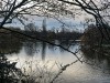 201216_4414a