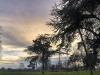 201216_4419a