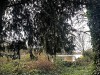 201216_4420a